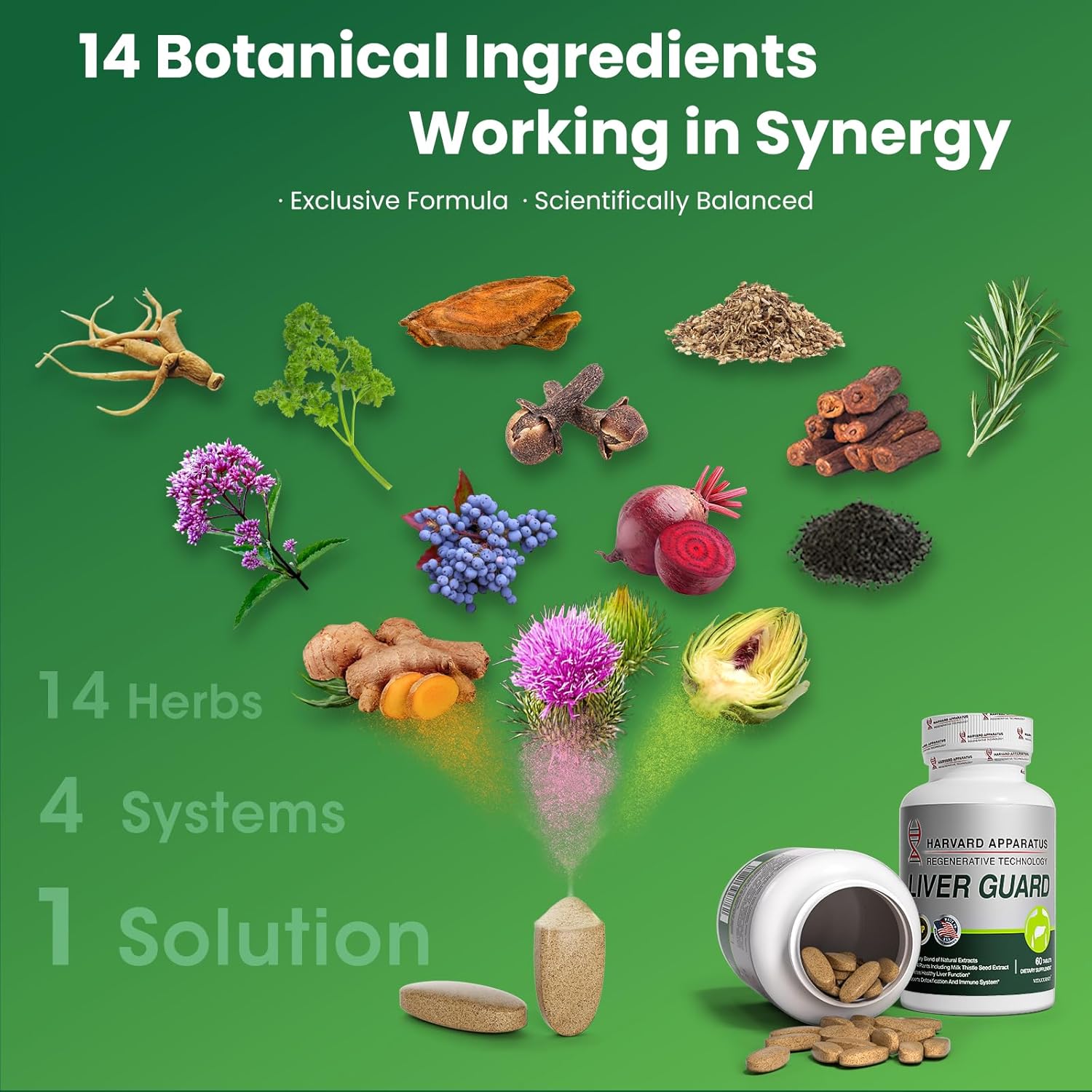 Liver Cleanse Detox & Repair - Image 2